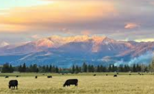 Montana Workers Compensation Settlement Loans | Lawsuit Loans